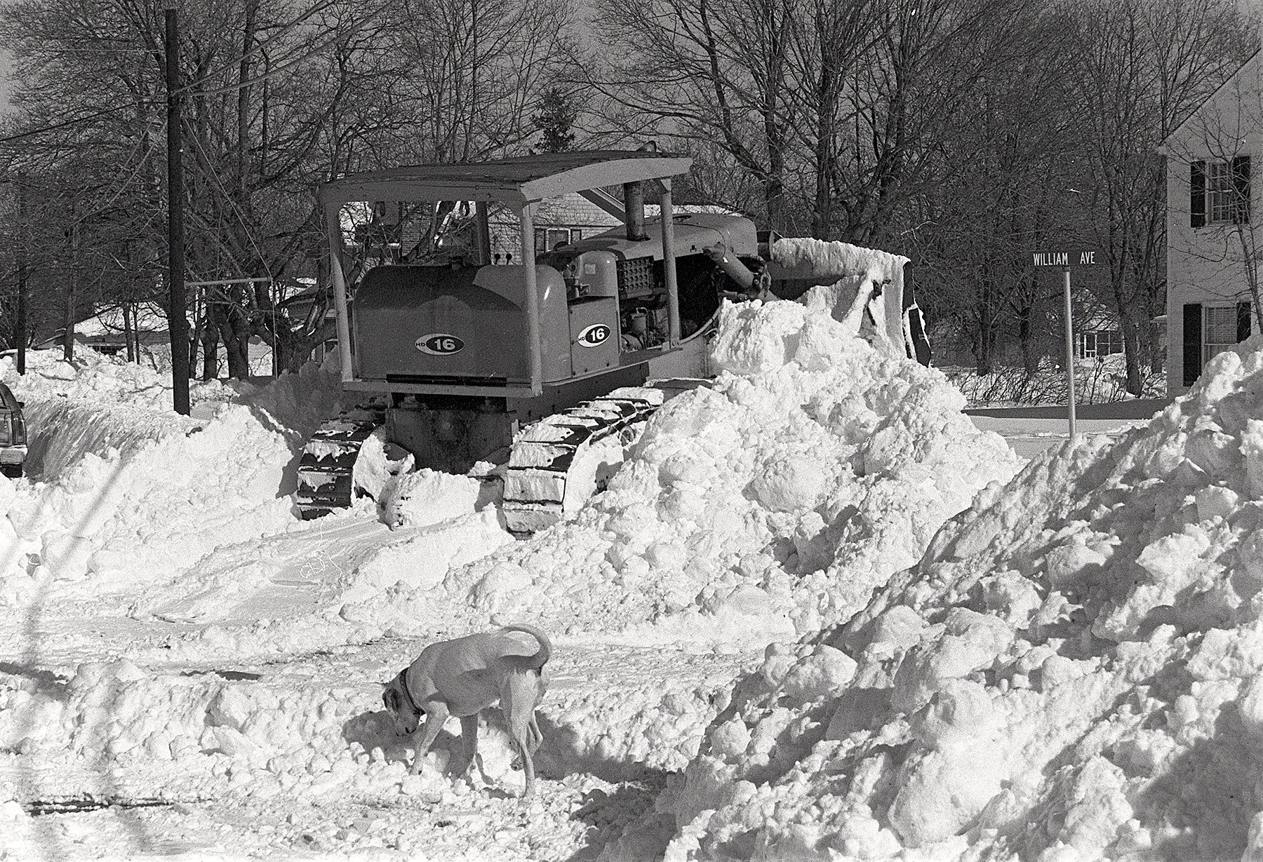Blizzard of '78